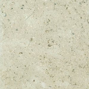 Sinai Pearl Limestone Tile